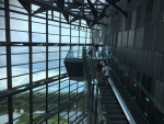 Image from iOS (3).jpg